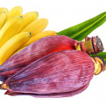 گل موز  Banana Flower